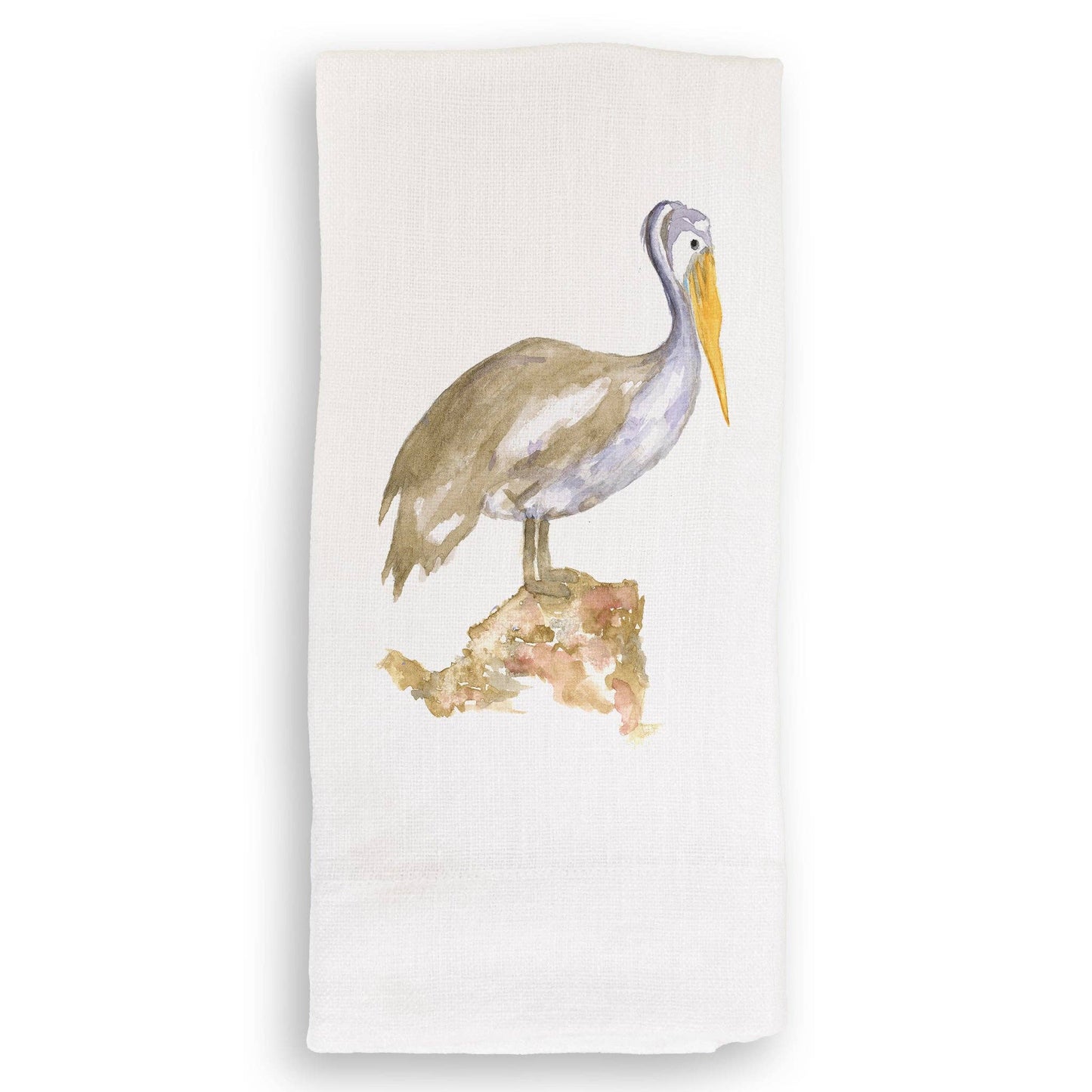 Brown Pelican