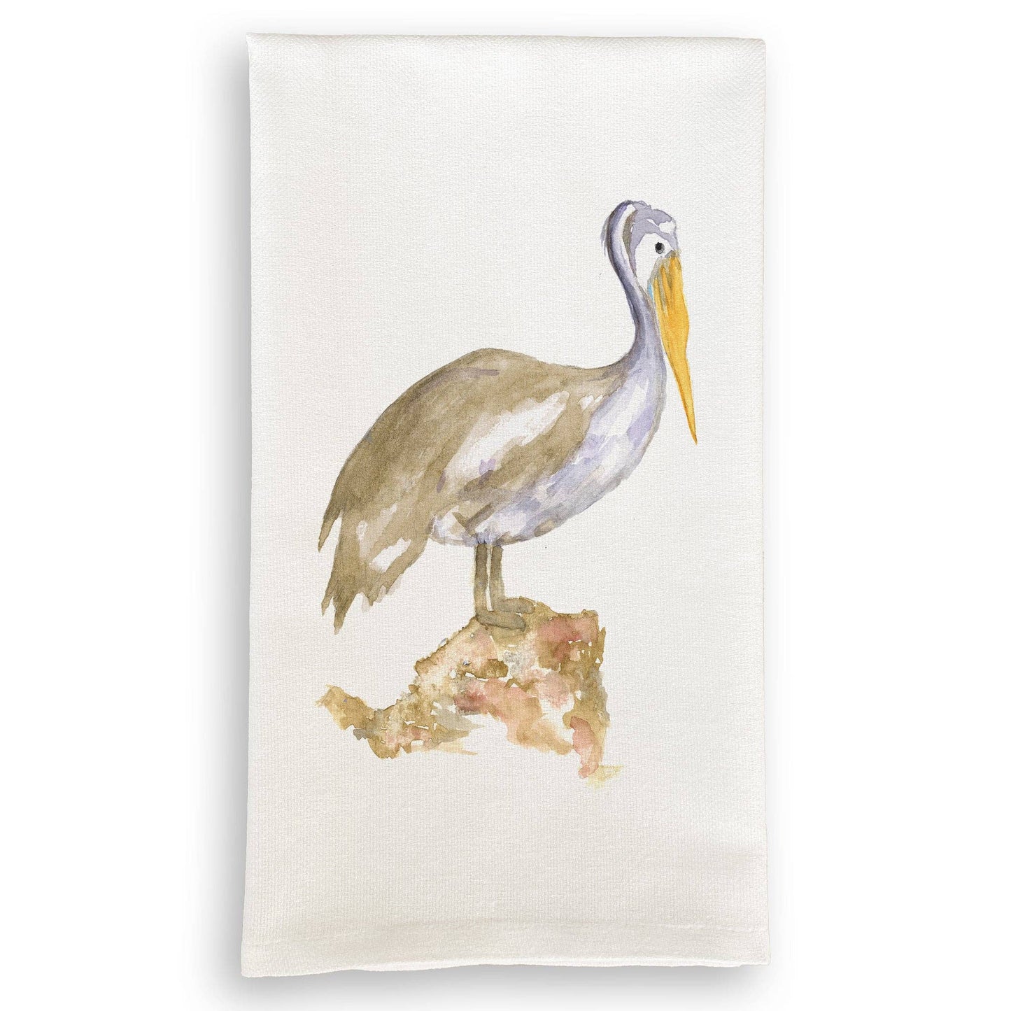 Brown Pelican