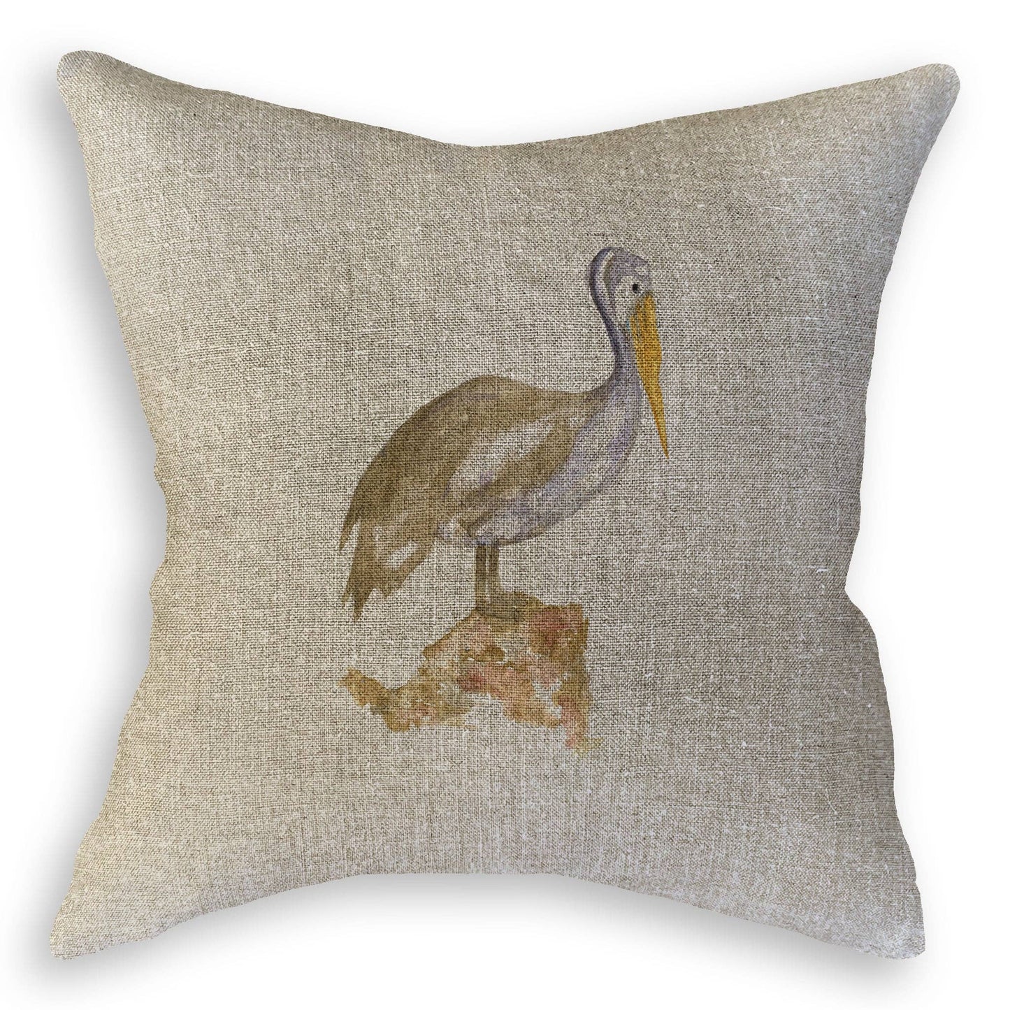 Brown Pelican