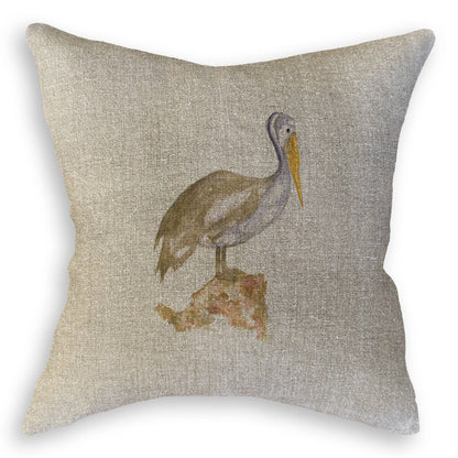 Brown Pelican