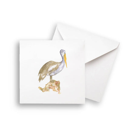 Brown Pelican