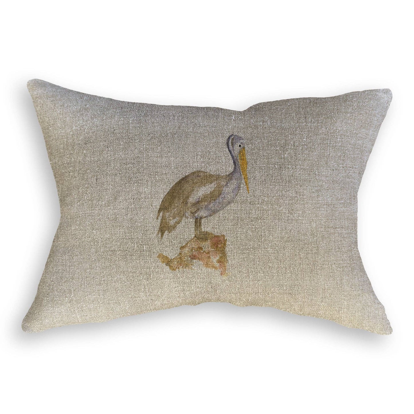 Brown Pelican