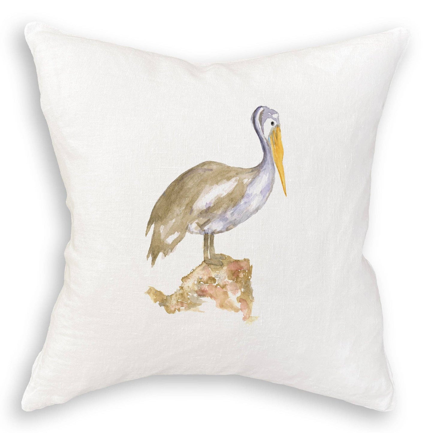 Brown Pelican