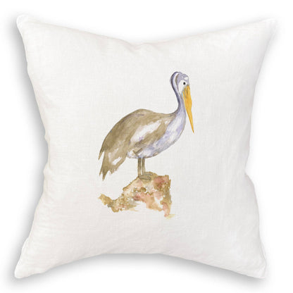 Brown Pelican