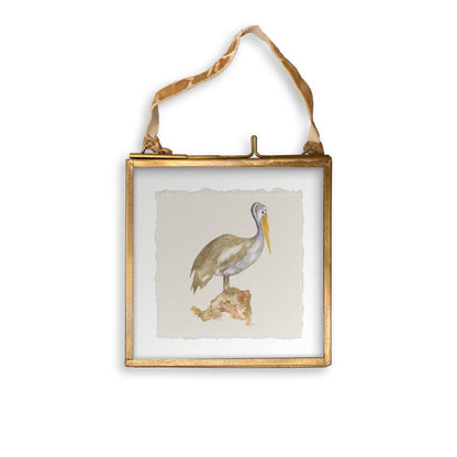 Brown Pelican