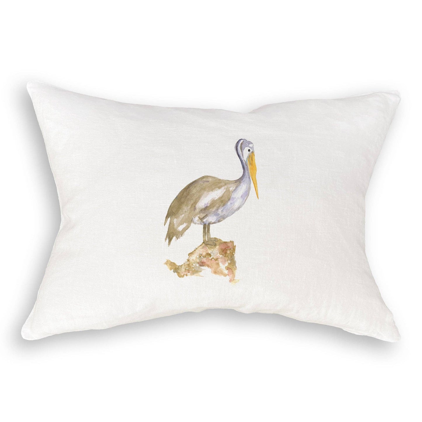 Brown Pelican