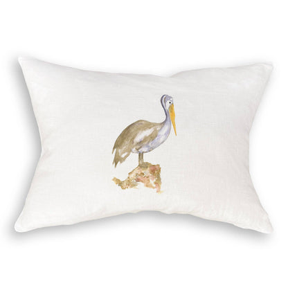 Brown Pelican